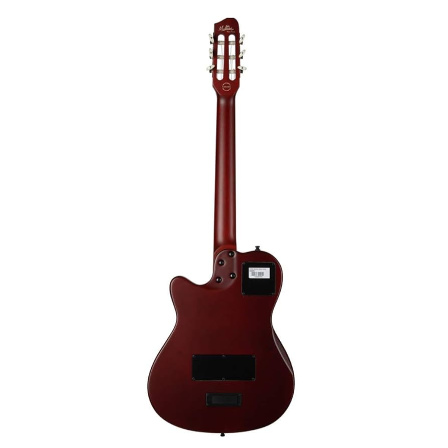 Godin Multiac Nylon Encore 値下げしました！ Godin Multiac Nylon Encore Acoustic-Electric Guitar | Music